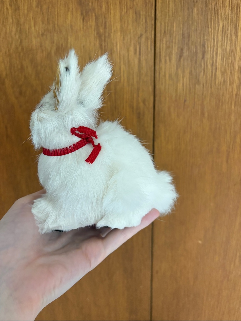 Realistic Rabbit Model Using Real Fur - Picture 4 of 7
